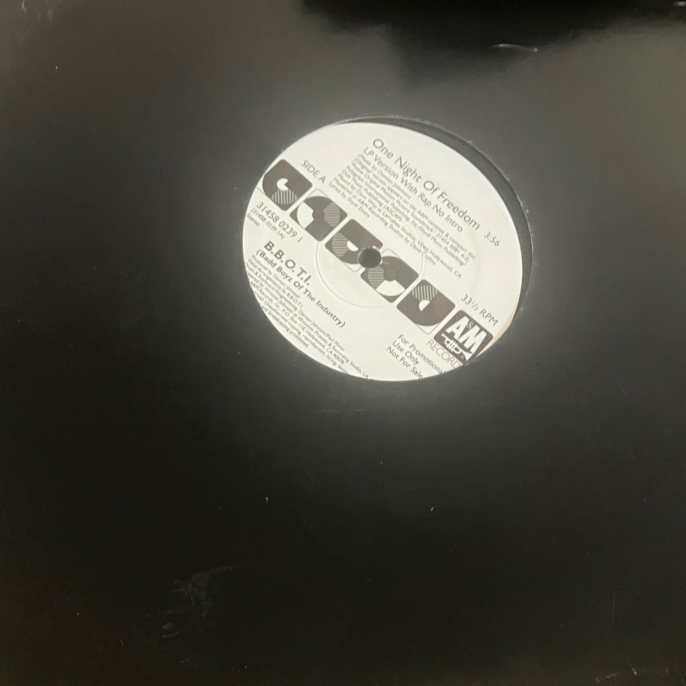 One night of freedom promo LP